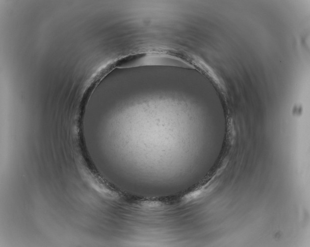 X0000091460203200709061804