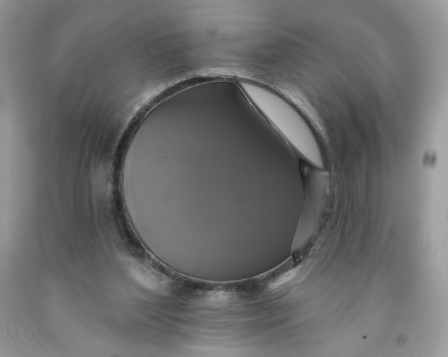 X0000091460204200709061803