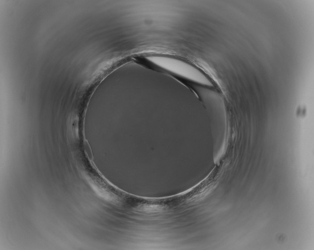 X0000091460205200709061803