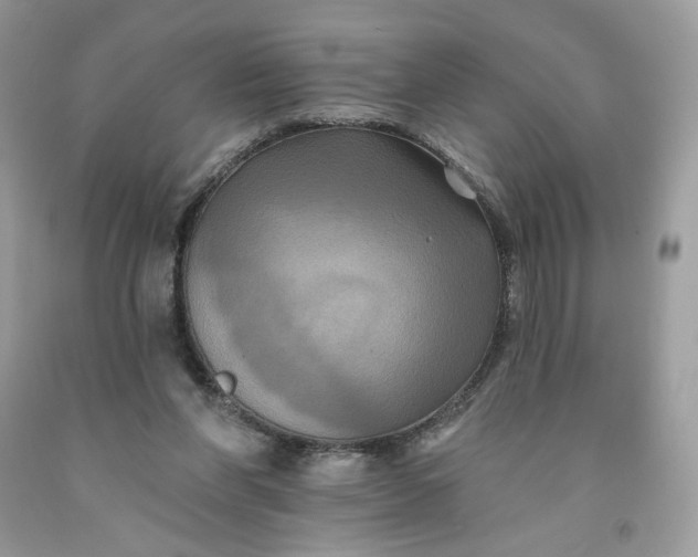 X0000091460206200709061803