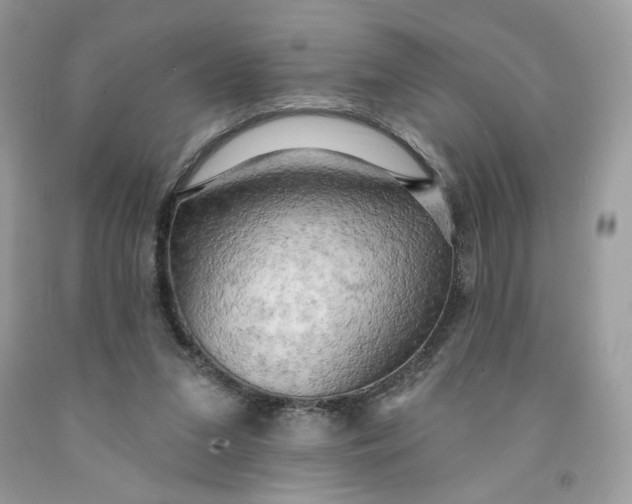 X0000091460207200709061803