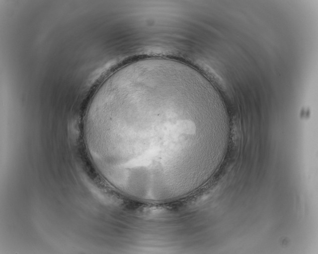 X0000091460208200709061803