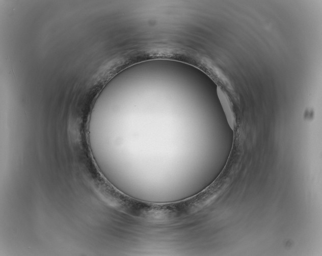 X0000091460209200709061803
