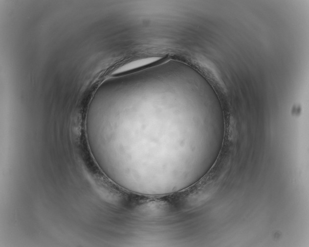 X0000091460210200709061803