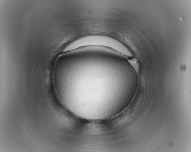 X0000091460211200709061803