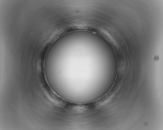 X0000091460213200709061803