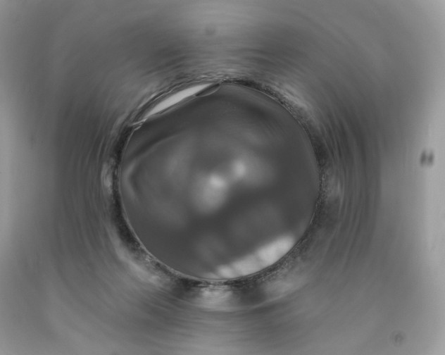 X0000091460214200709061803
