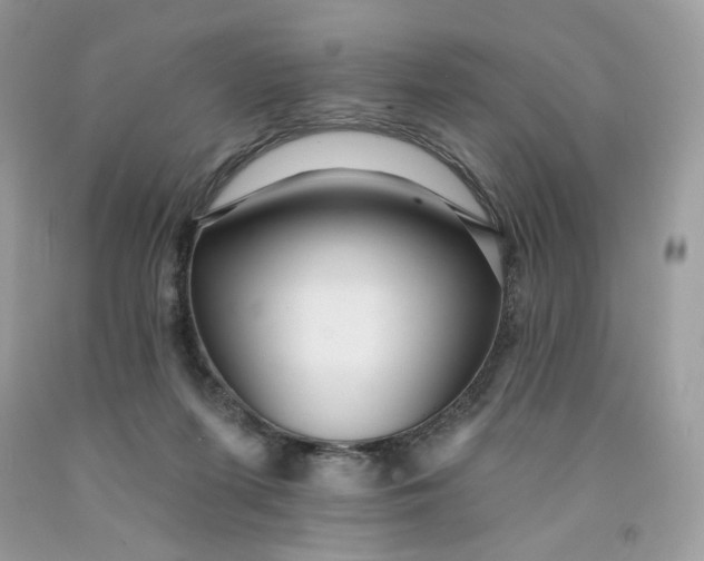 X0000091460215200709061803