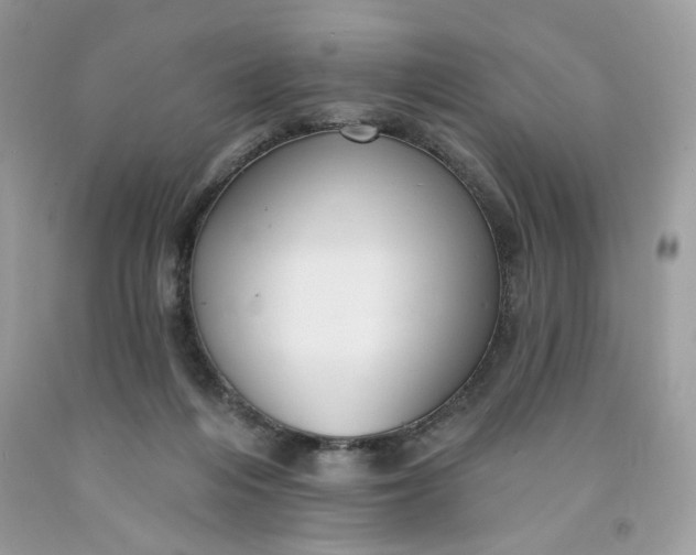 X0000091460216200709061803
