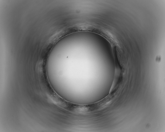 X0000091460217200709061803