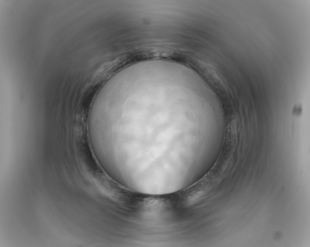 X0000091460218200709061803