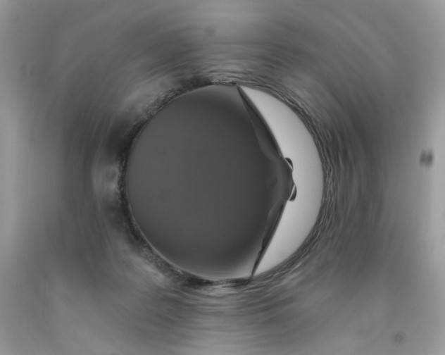 X0000091460219200709061803