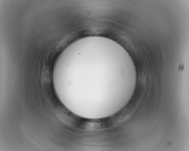 X0000091460220200709061803
