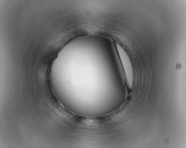 X0000091460221200709061803