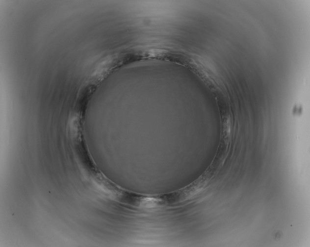 X0000091460222200709061803