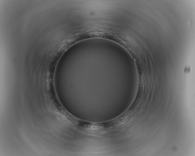 X0000091460223200709061803