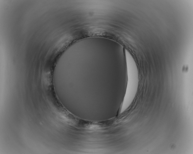 X0000091460224200709061803