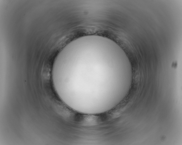 X0000091460226200709061803