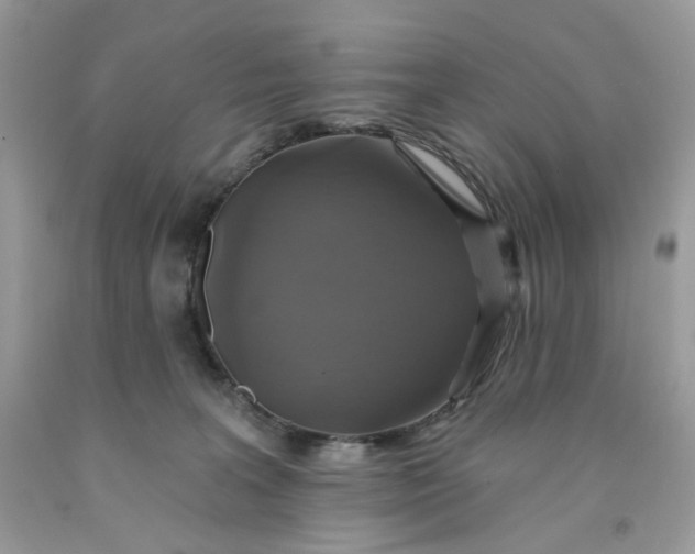 X0000091460227200709061803