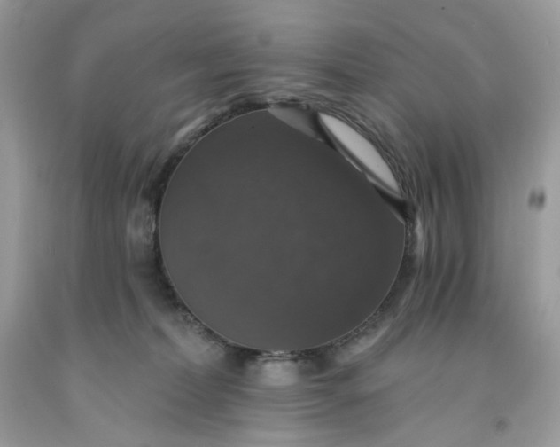 X0000091460228200709061803