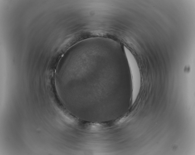 X0000091460229200709061803
