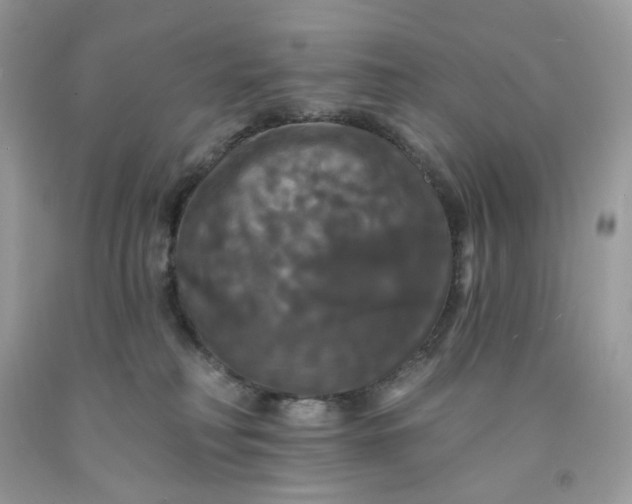 X0000091460230200709061803