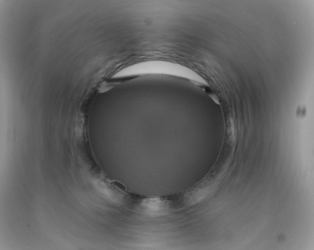 X0000091460231200709061803