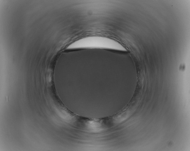 X0000091460232200709061803