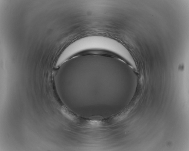 X0000091460233200709061803