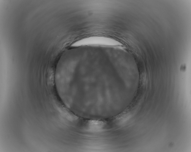 X0000091460234200709061803