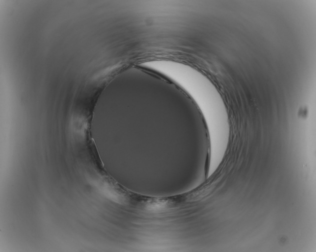 X0000091460235200709061803