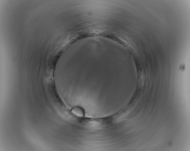 X0000091460236200709061803