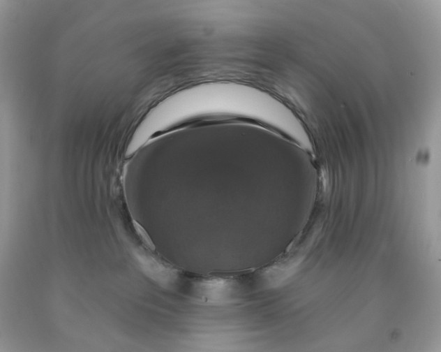 X0000091460237200709061803
