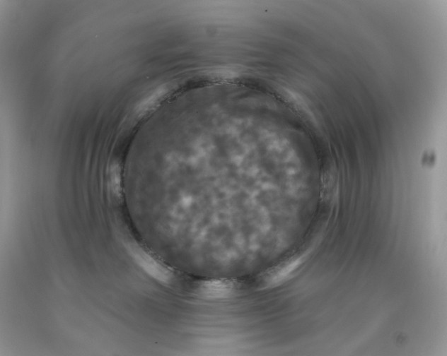 X0000091460238200709061803