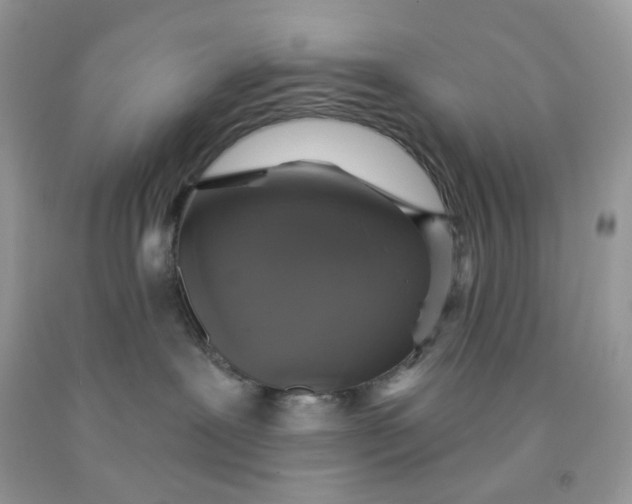 X0000091460239200709061803