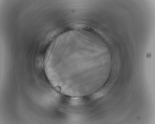 X0000091460240200709061803