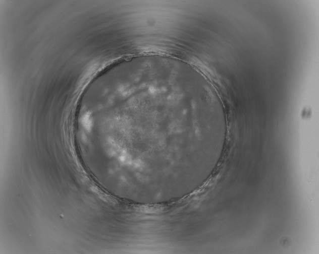 X0000091460241200709061802