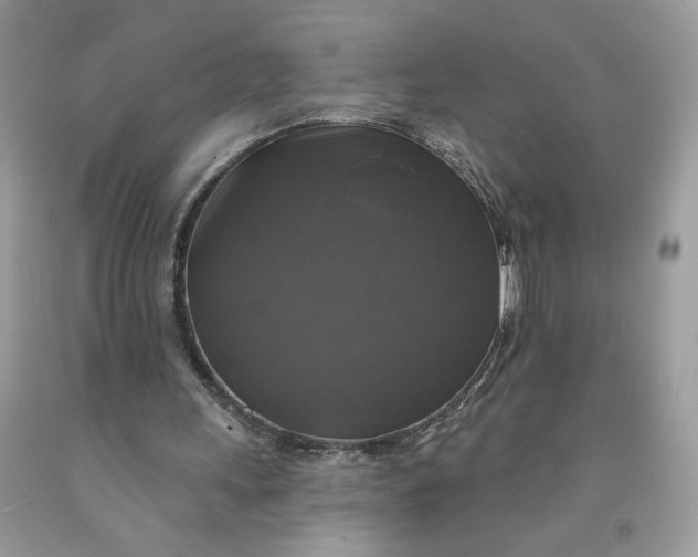 X0000091460243200709061802