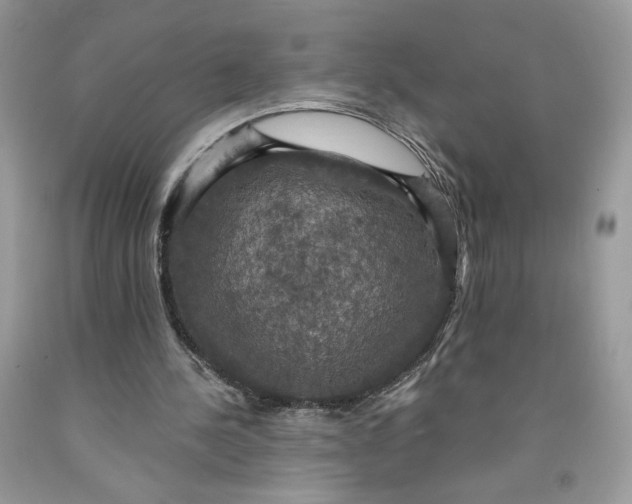 X0000091460244200709061802