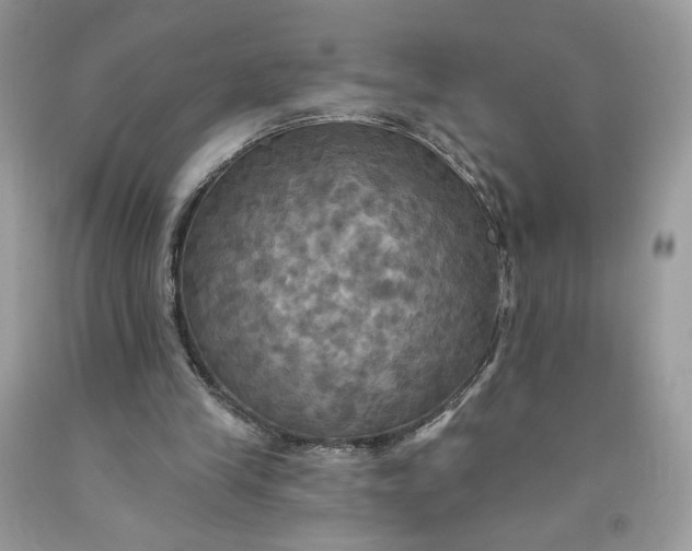 X0000091460245200709061802