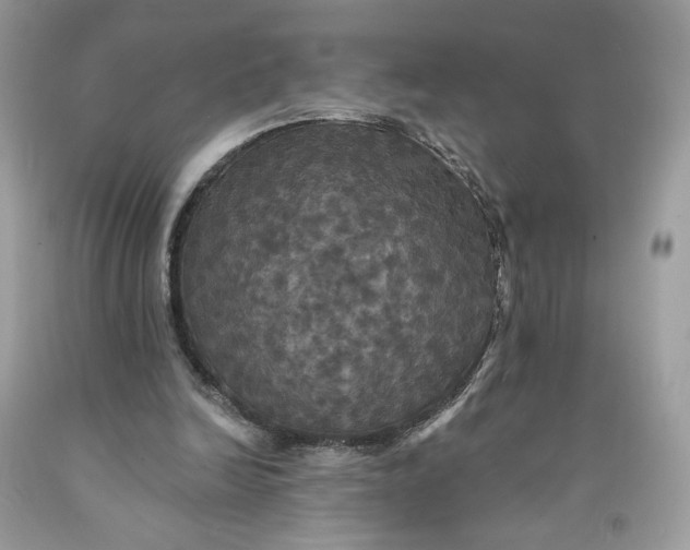 X0000091460246200709061802