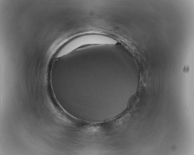 X0000091460247200709061802