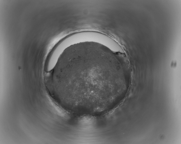 X0000091460248200709061802