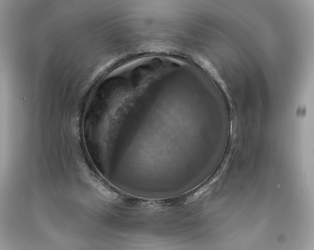 X0000091460249200709061802