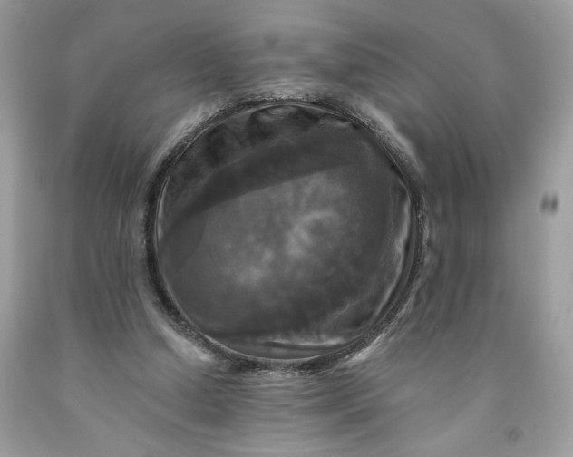 X0000091460250200709061802