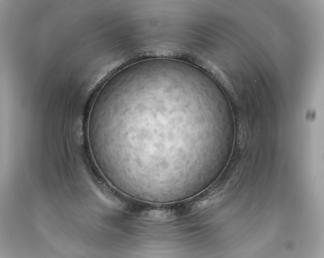 X0000091460251200709061802