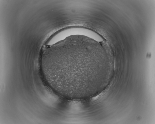X0000091460252200709061802