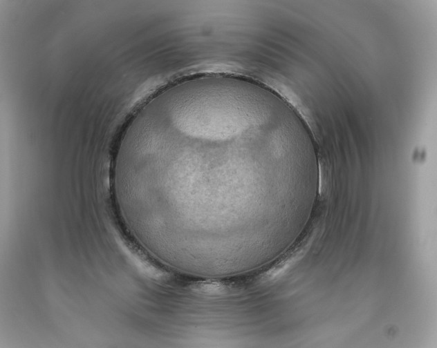 X0000091460253200709061802