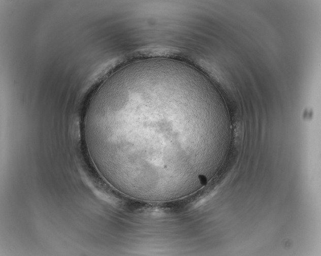 X0000091460254200709061802