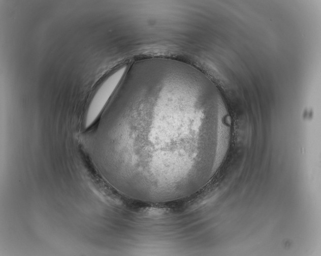 X0000091460255200709061802